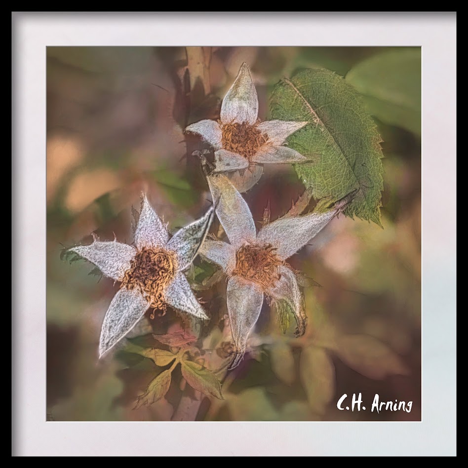 asterism