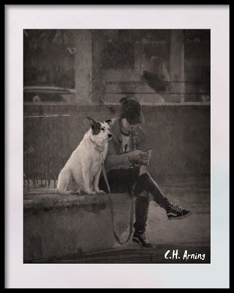 companions