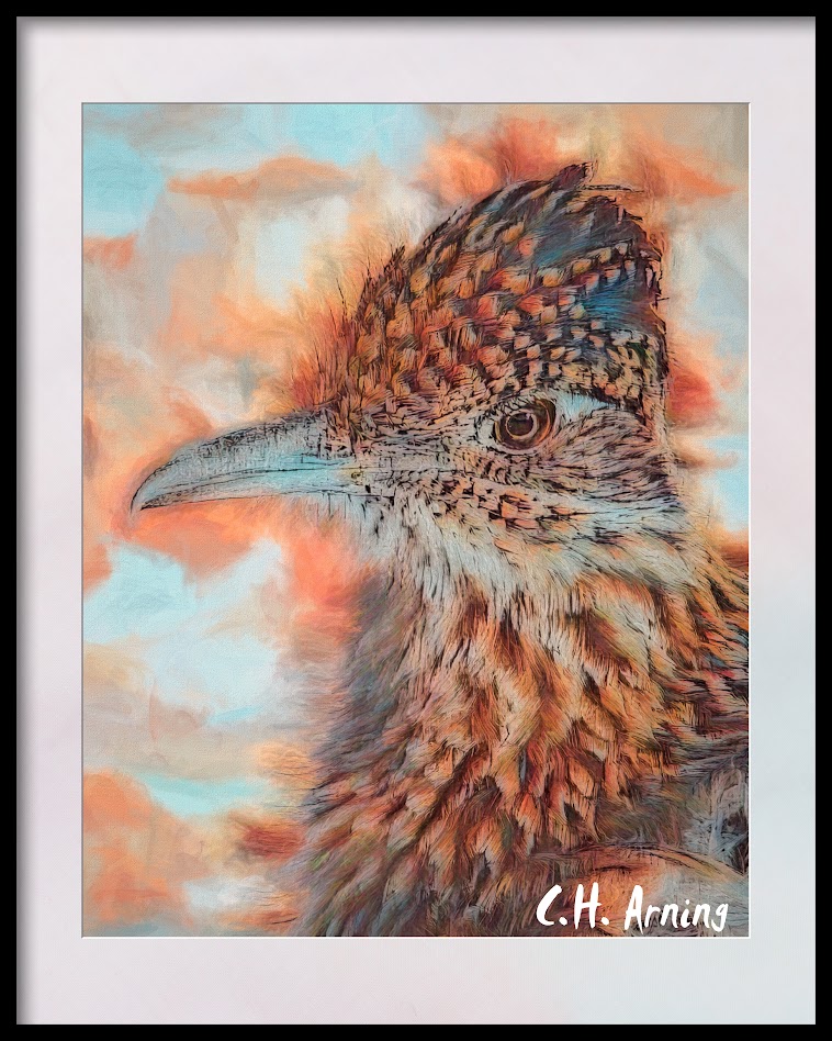 Roadrunner