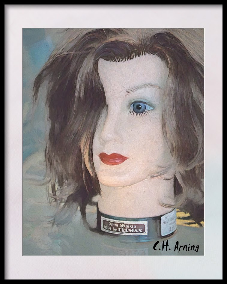 Debra Manikin