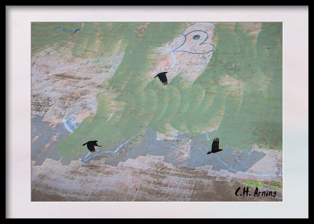 Storm (Drainage) Crows