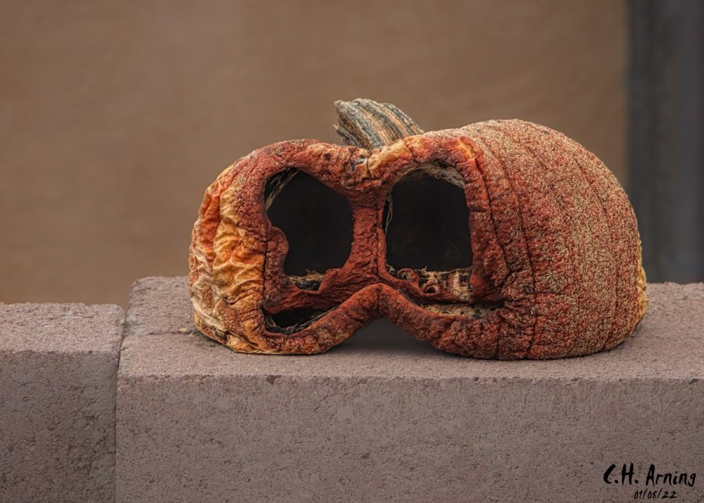 Halloween Holdout