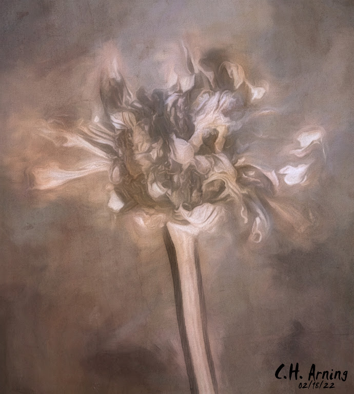 flowerhead