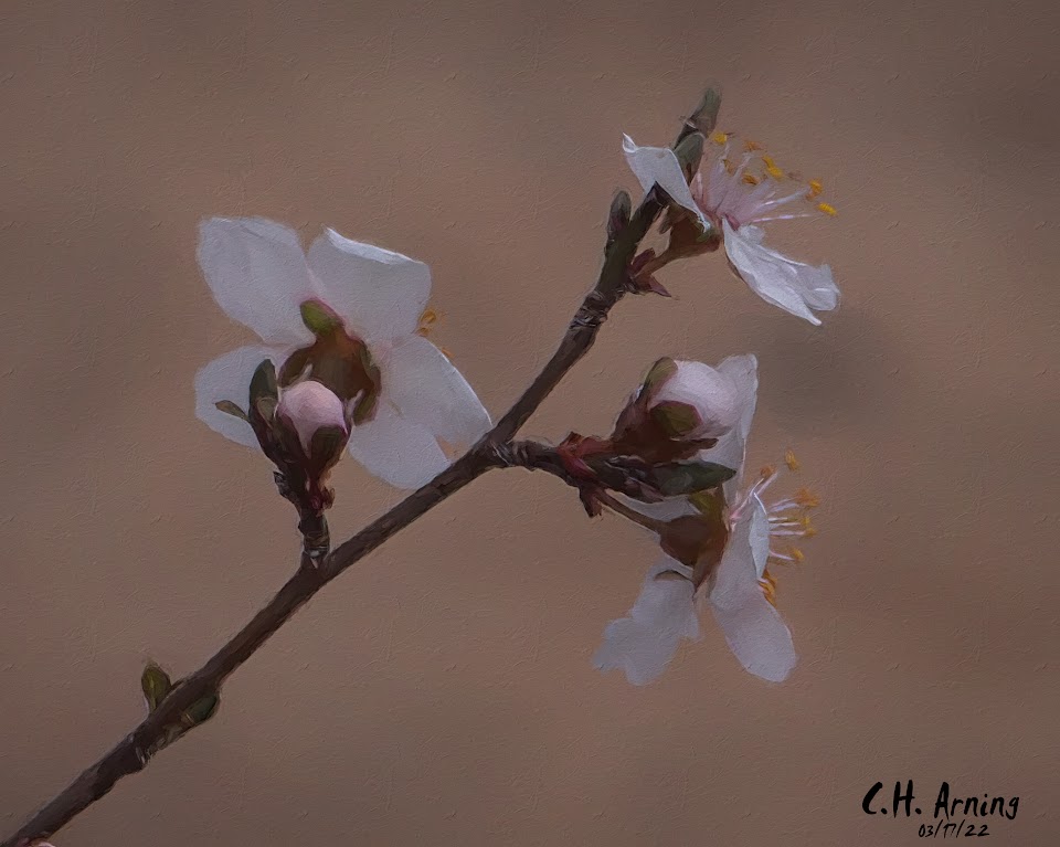 Signs of Spring