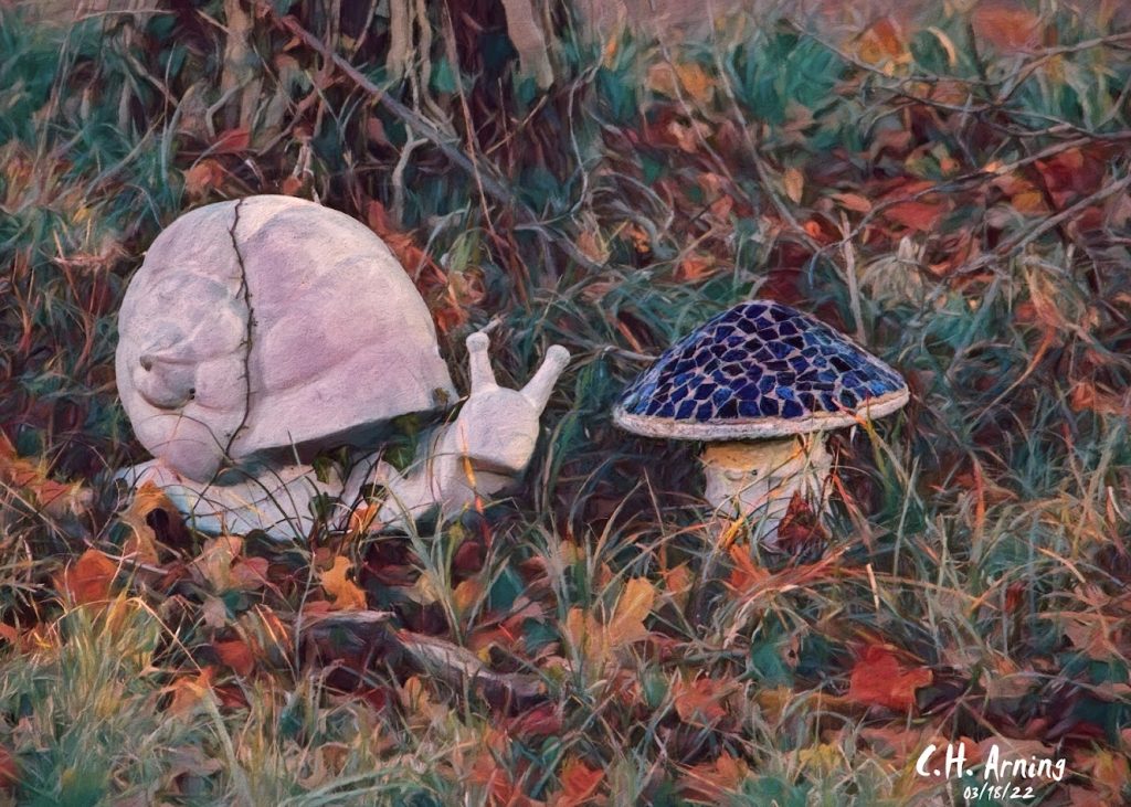 fungi and slug