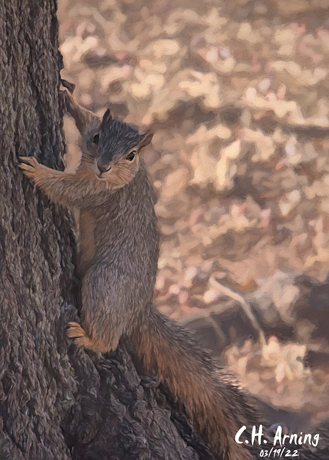 squirrely