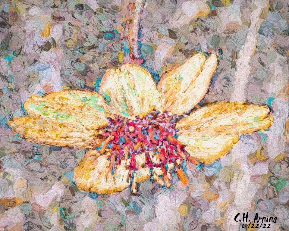 Spring