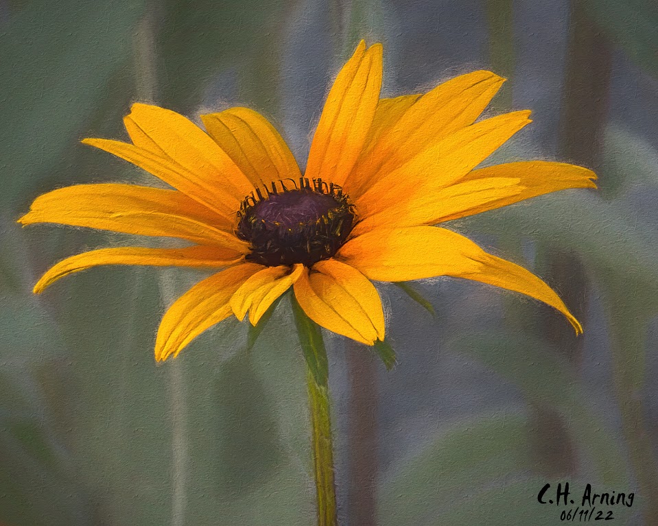 Sign of Summer