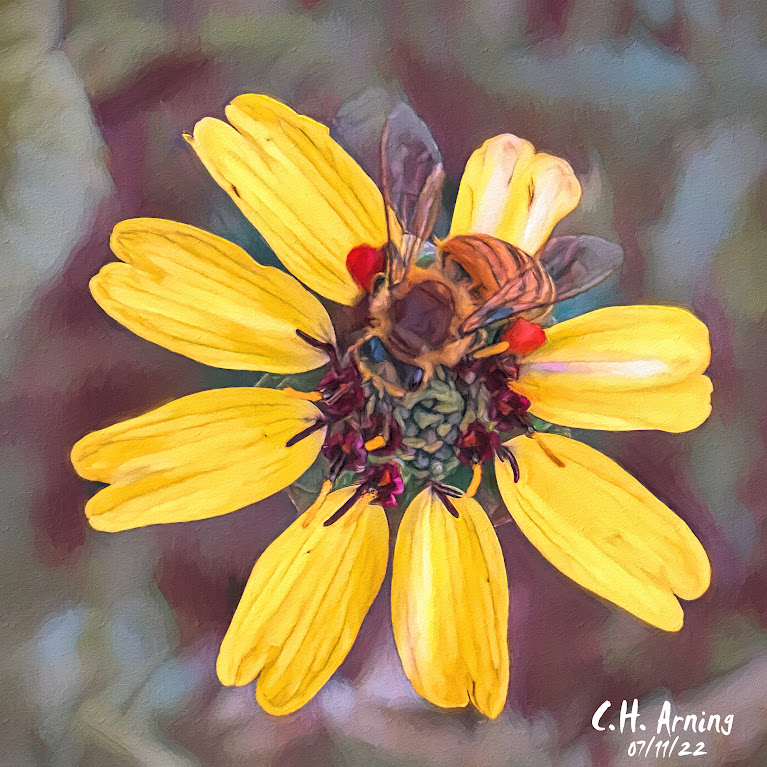 drone in yellow