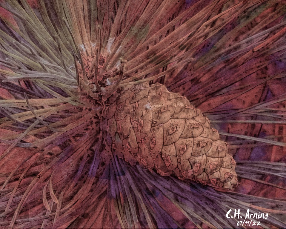 Cone