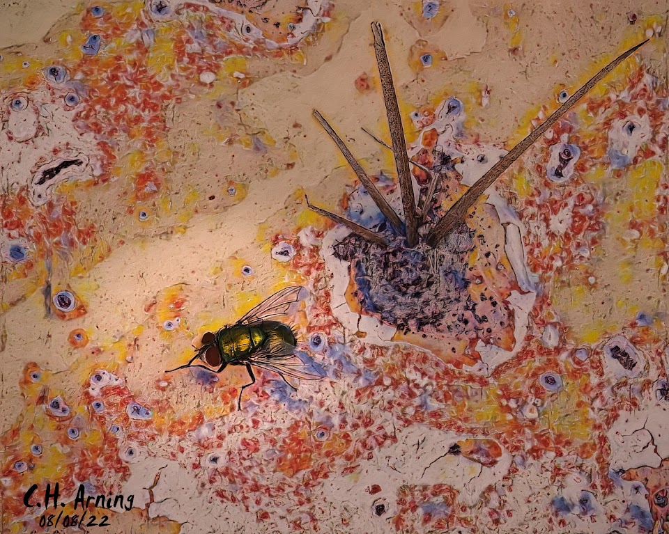 blowfly