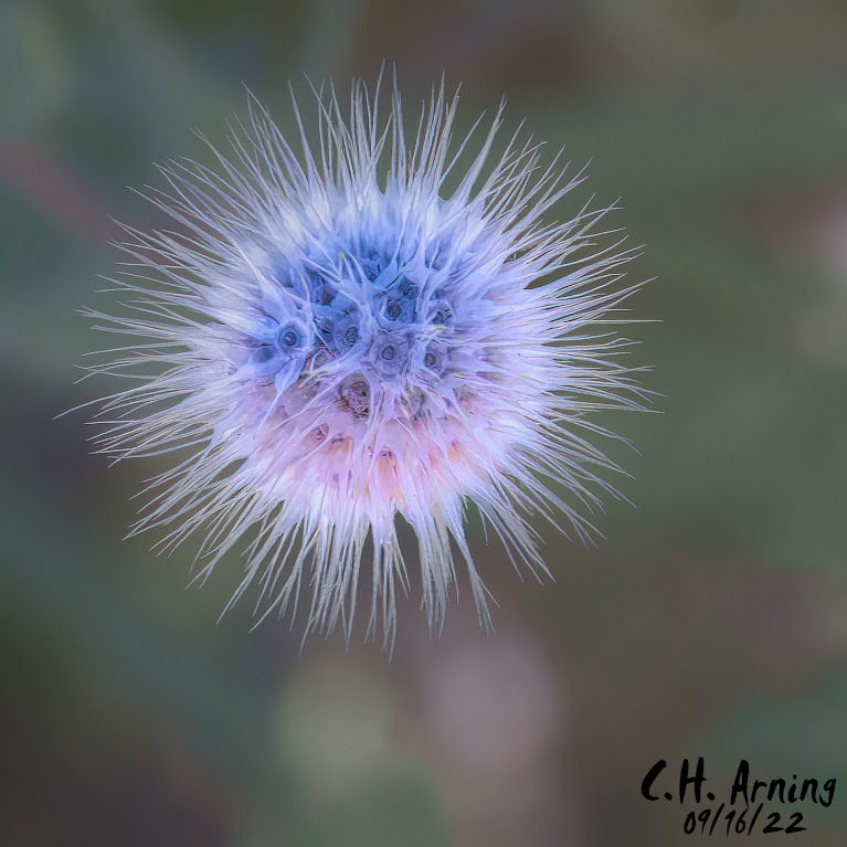 unworldly