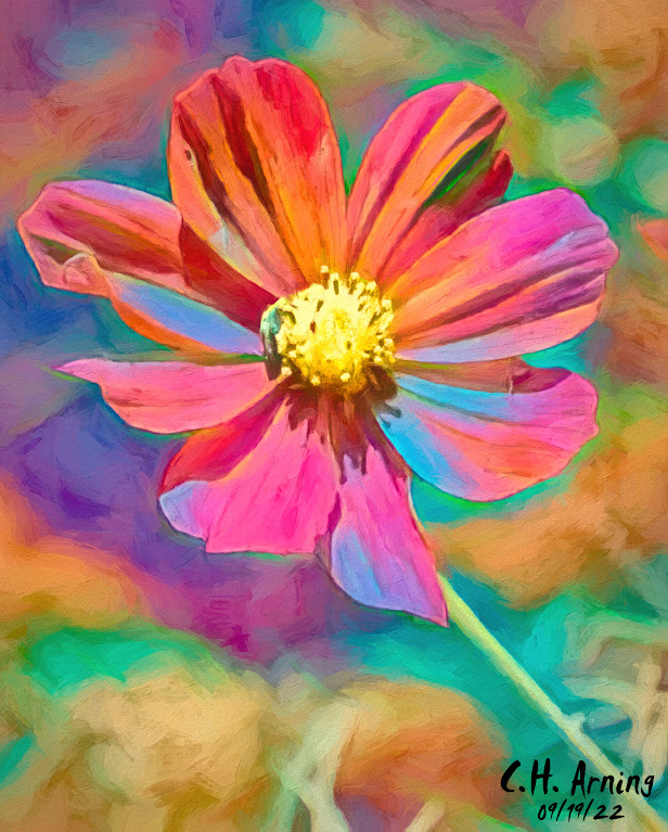 Pinwheel