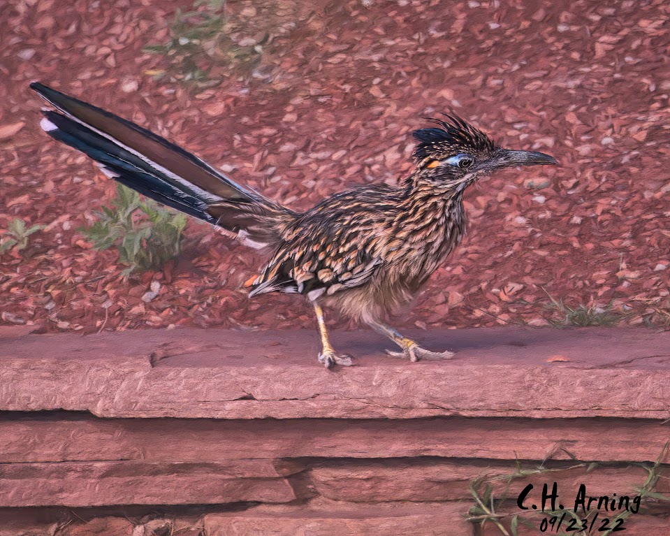 Wall Runner