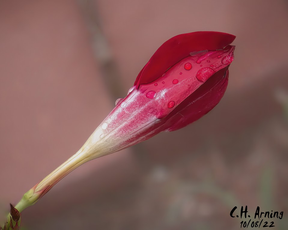 Waiting to open