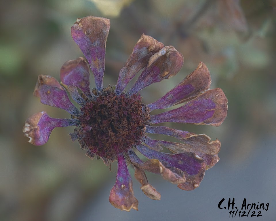 Fading