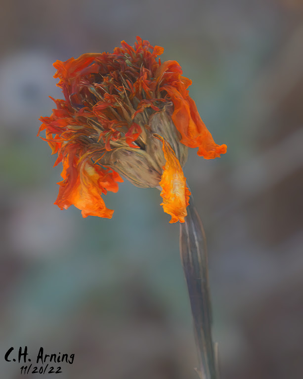 Fall