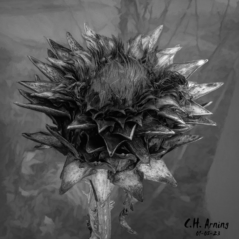 thistle