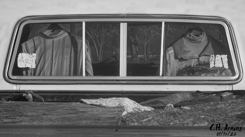 The Janus Truck