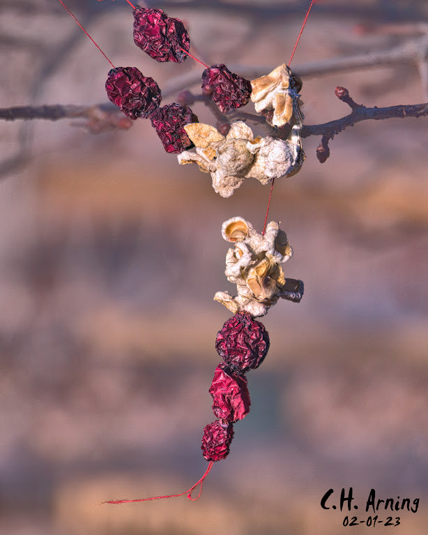 cranberry and popcorn garland
