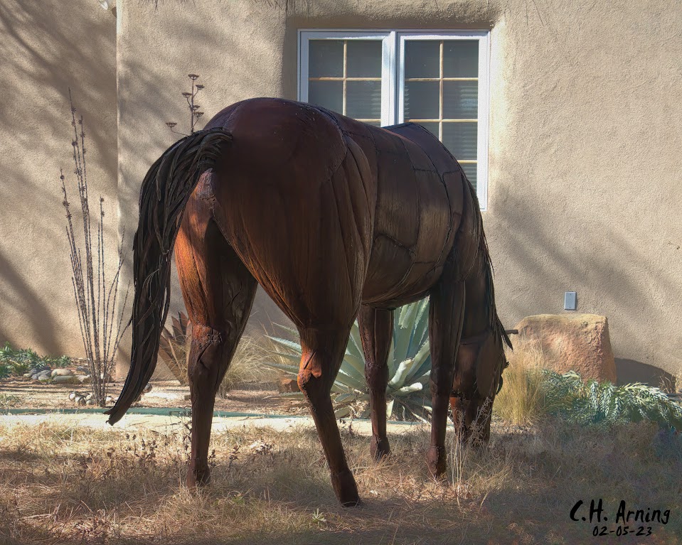 Tulane Horse
