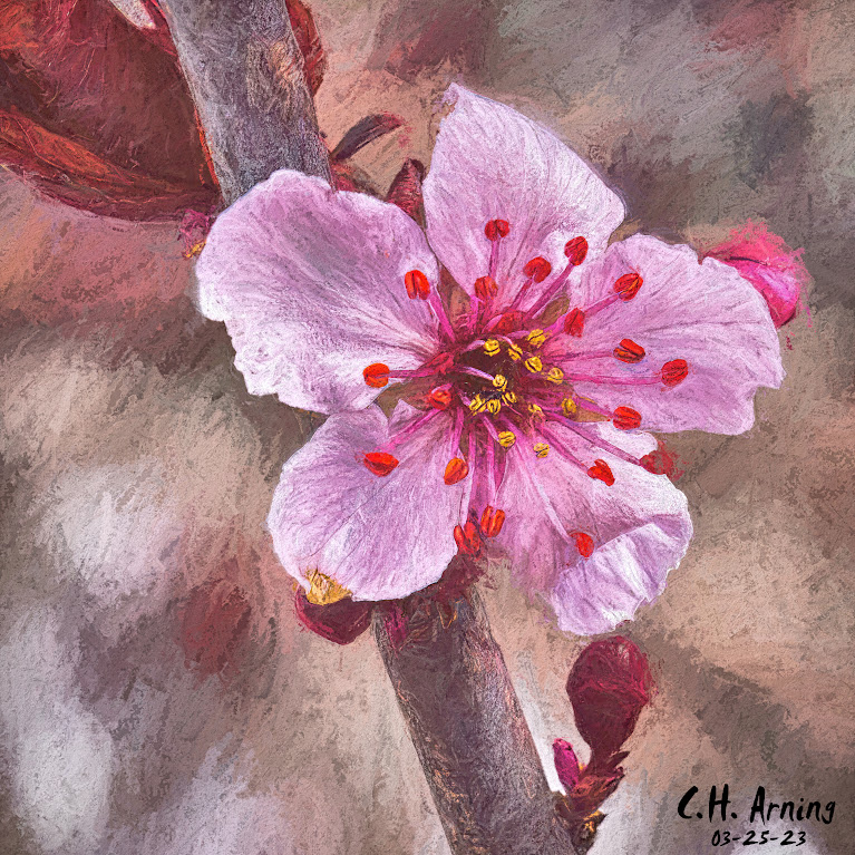 the spring begins
