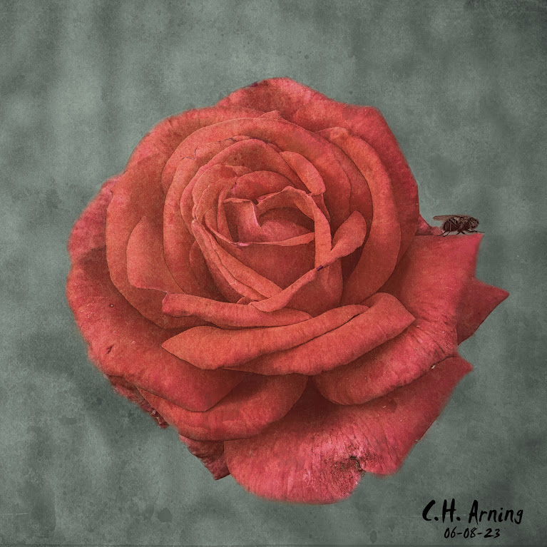 Petals Perched