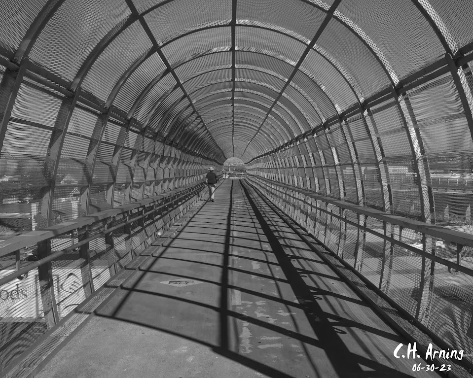 Caged Crossing