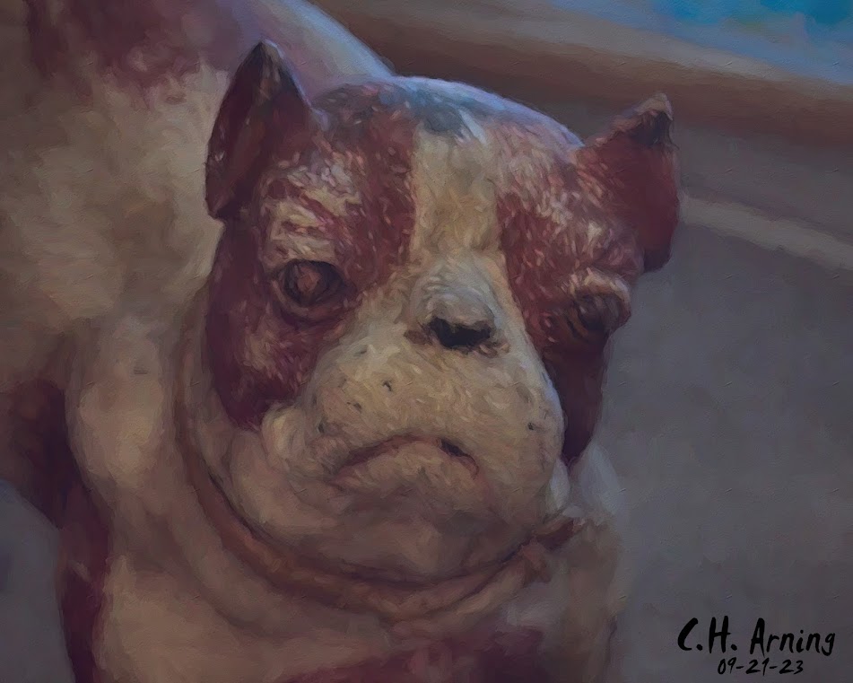 Pottery Pooch