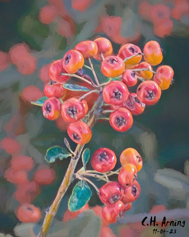 Autumn Jewels