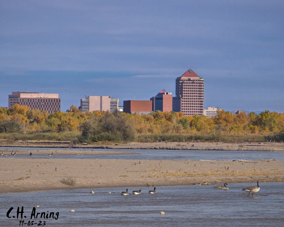 Riverside View