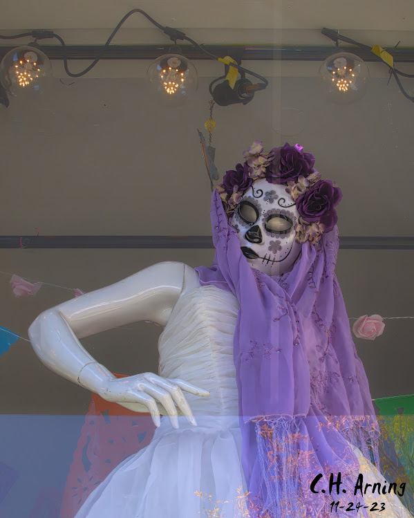 Haunting Beauty