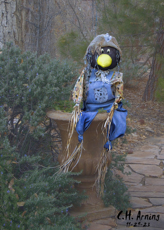 Scarecrow Crow