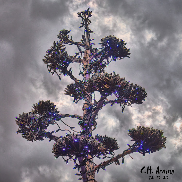 Dusk Luminescence