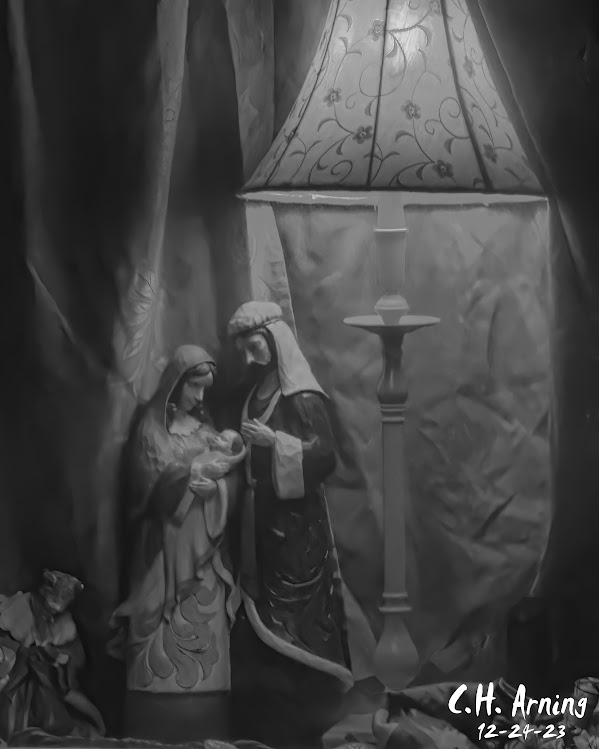 Windowed Nativity