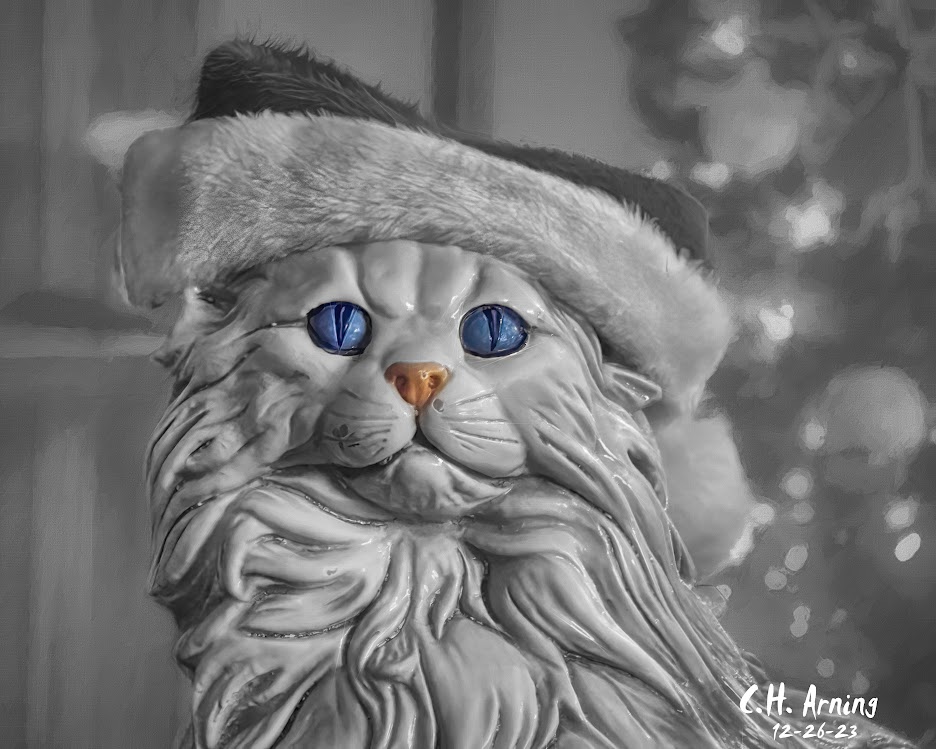 Santa Claws