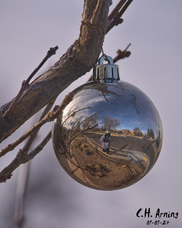 Resolute Reflection