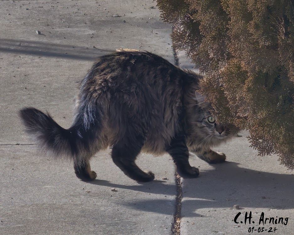 Stealth Mode