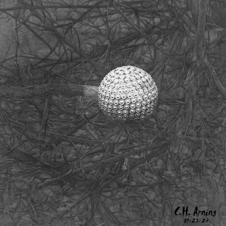 Jeweled Outcast