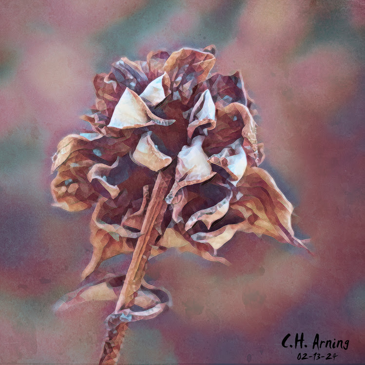Crumpled Elegance