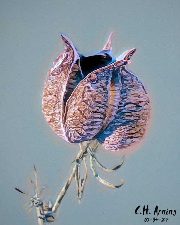 Arid Jewel