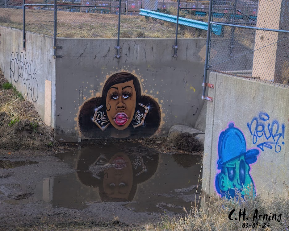 Artistic Reflection