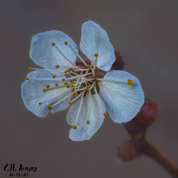 Gentle Unfolding