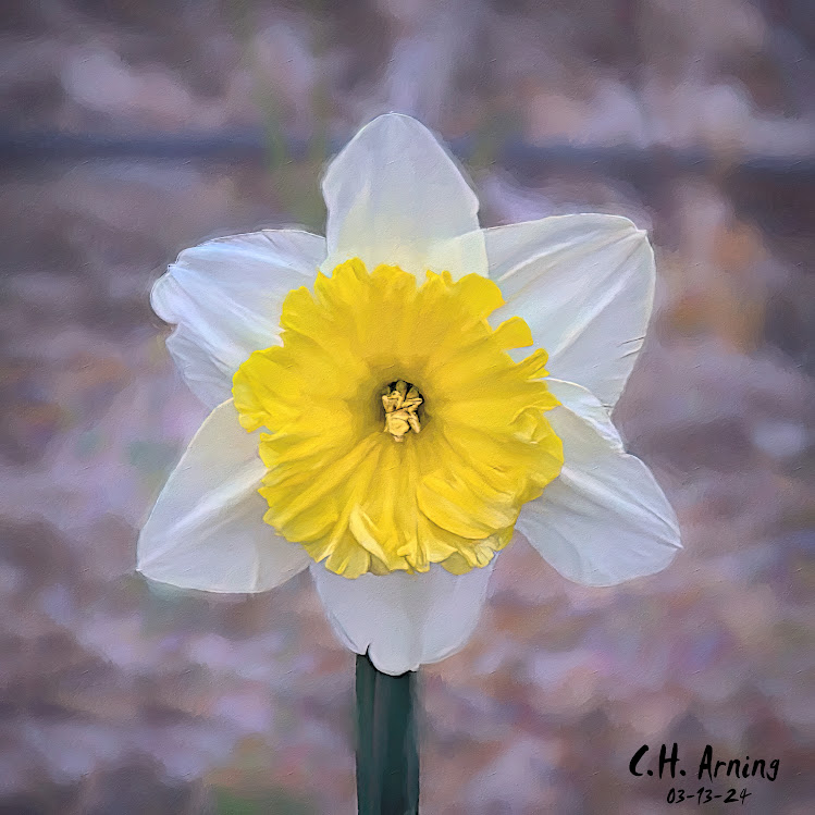 Spring's Whisper