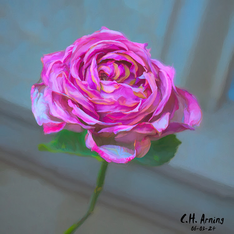 Gentle Grace
