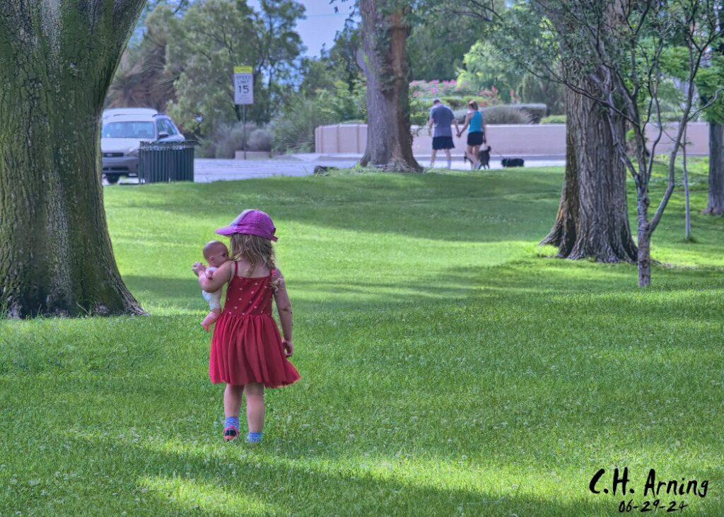 Park Playtime