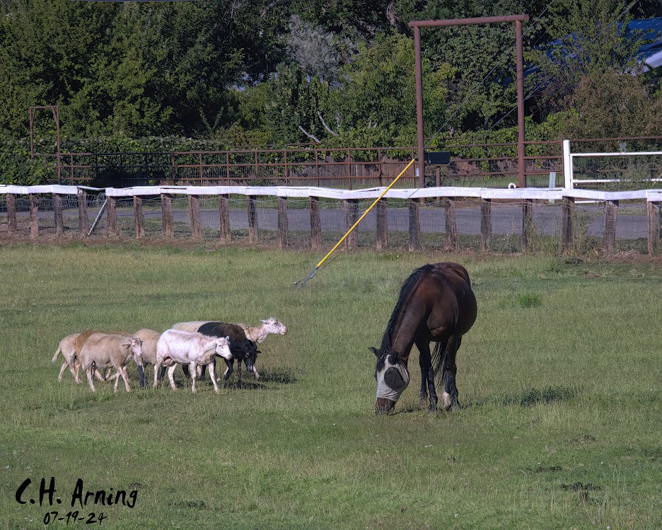 Rural Serenity