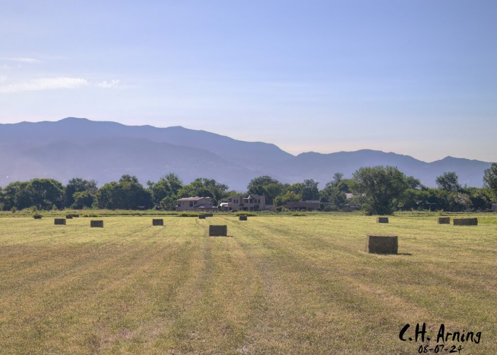 Meadow Vista