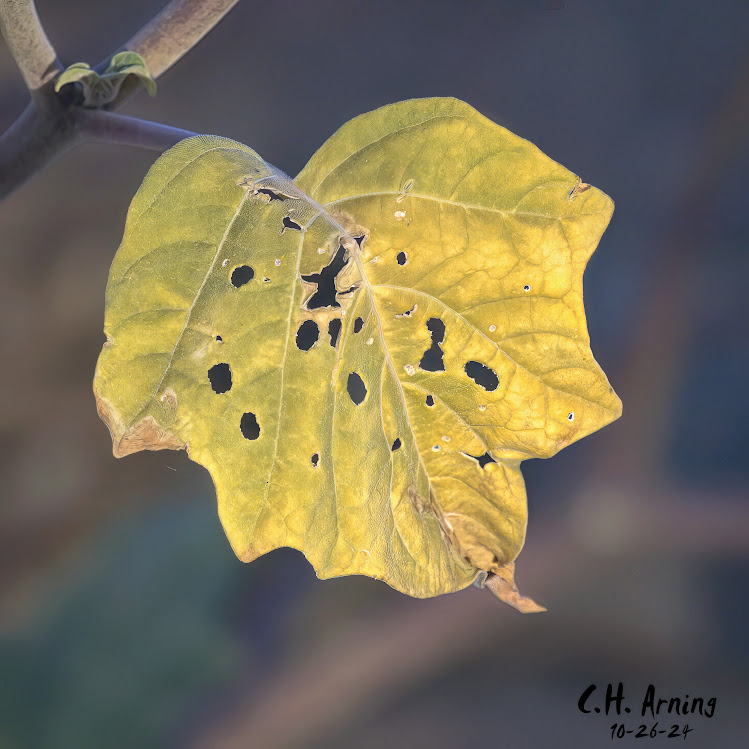 Season’s End