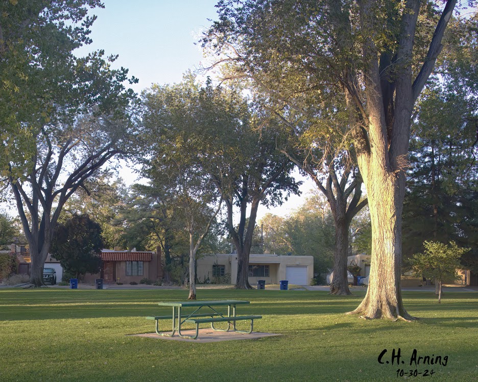 Sunlit Park